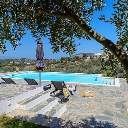Appartement Dimelli Luxury *