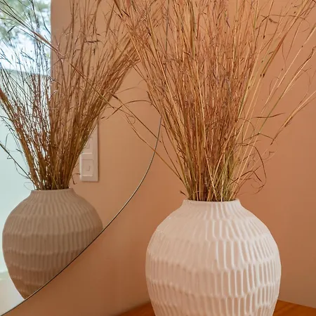 Dimelli Luxury Διαμέρισμα Ερμιόνη