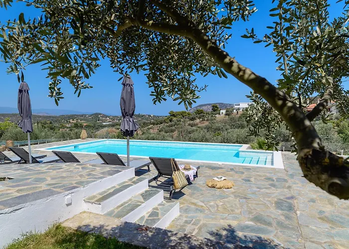 Apartment Dimelli Luxury *